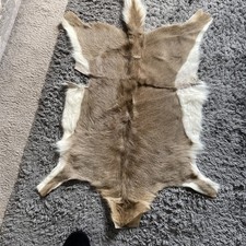 African Mountain Reedbuck Hide / Skin / Rug 