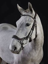 GFS Premier Prosperity Bridle