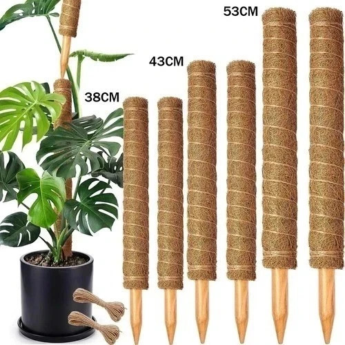 Moss pole extendable - moss,