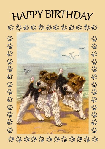 Wire fox terrier dog birthday - wire,