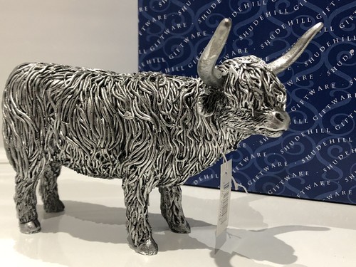 Silver highland cow scottish - silver,