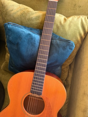 Guy trameleuc acoustic - trameleuc,