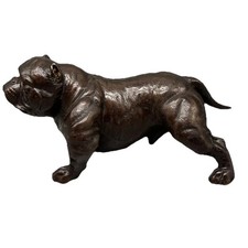 Bulldog American Bully Dog