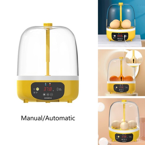 Eggs incubator equipment - eggs,