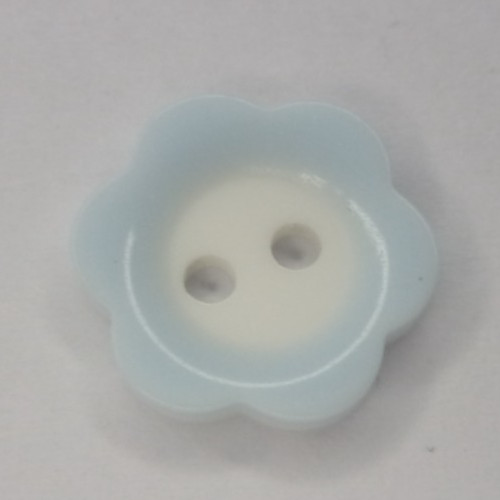Coloured rim daisy flower - 10,