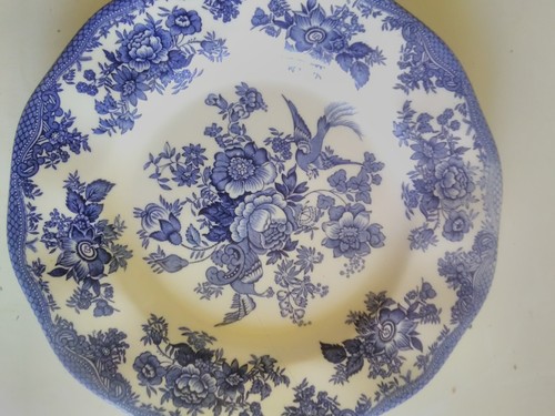 Enoch wedgewood asiatic - enoch,