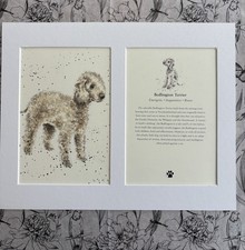 Mounted dog print - mounted,