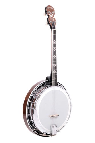 Gold tone irish tenor - tenor, banjo