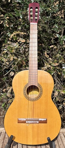 Angelica 2852 acoustic - acoustic, guitar