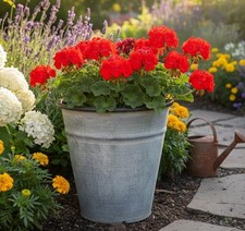 Galvanised Rustic Vintage