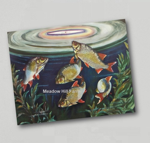 Fridge magnet rudd - magnet, crabtree