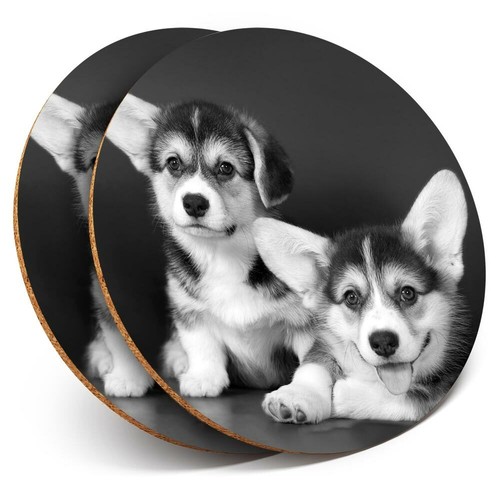 Coasters cute corgi - coasters,