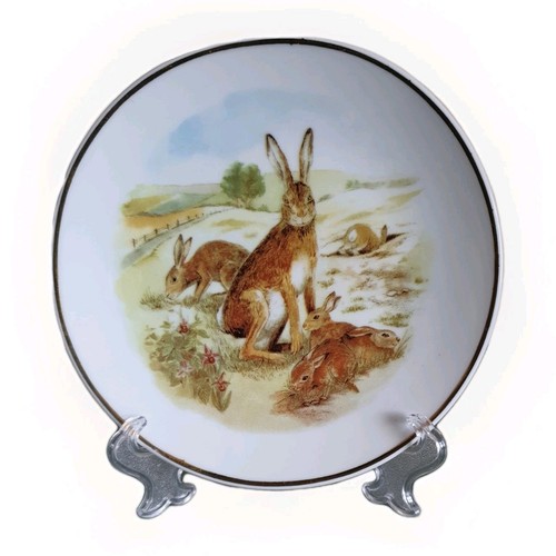 Wildlife britain hares - wildlife,