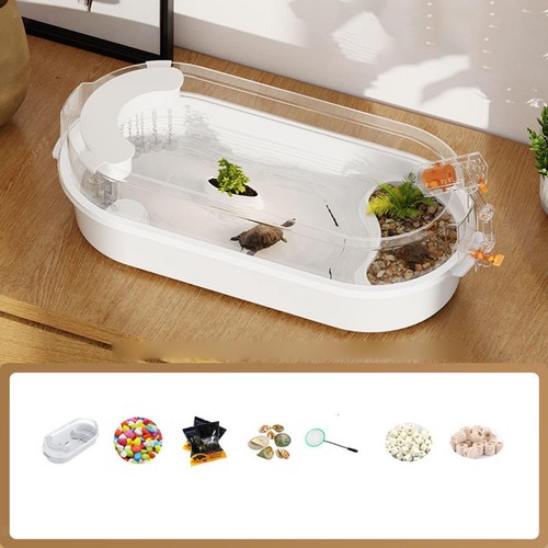 Turtle tank easy clean - turtle,