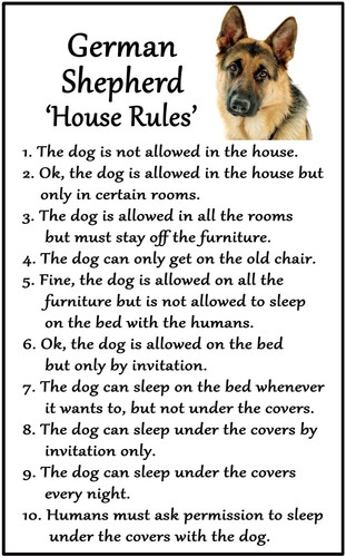 German shepherd dog house - dog,