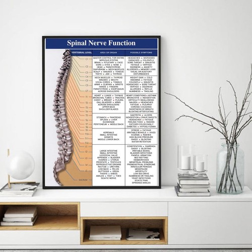 Spinal nerve function - -,