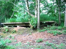 Photo 12x8 Moth Class at Cowes