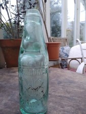 W Biscombe Registered Plymouth