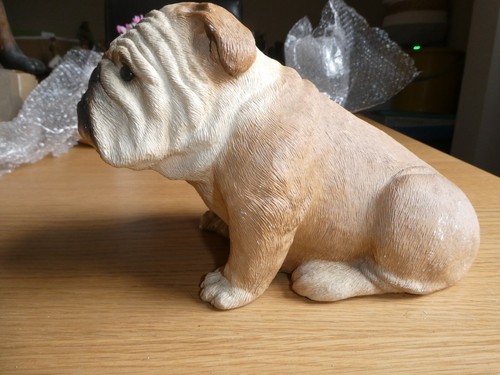 Bulldog sandicast sitting - in,