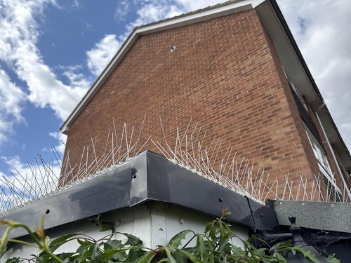 30m steel bird spikes pigeon - steel,