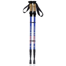 Pair of Telescopic Walking