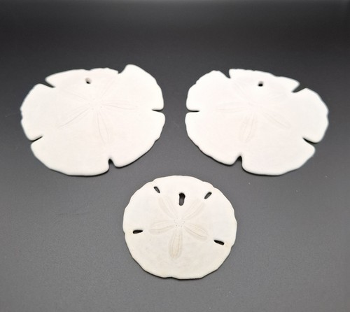 Sand dollar arrowhead - sand,