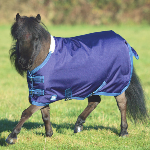 Shires horse tempest - horse,