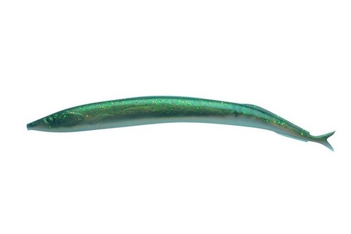 Berkley gulp saphire - berkley,