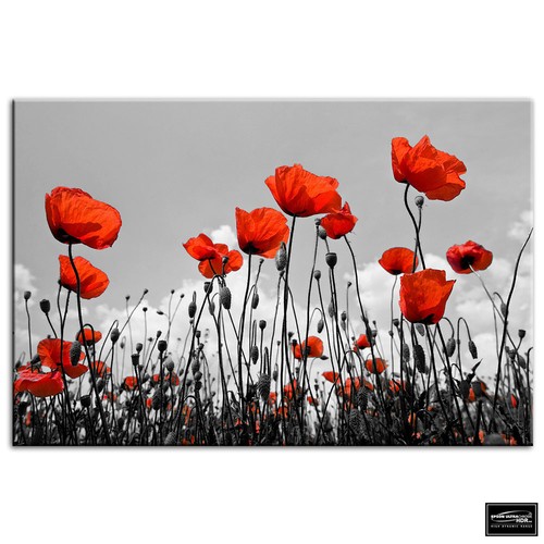 Poppies flowers floral box - poppies,