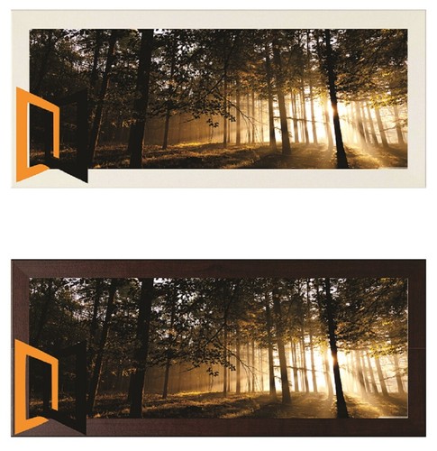 Photograph real wood - photograph, photo