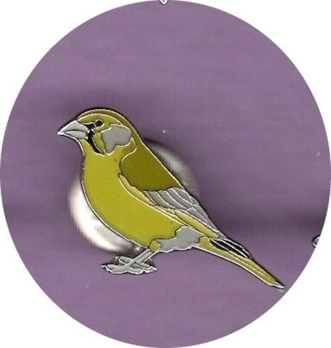 Rspb pin badges want the - rspb,