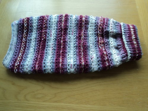 Hand knitted dog cat - hand, dog/cat
