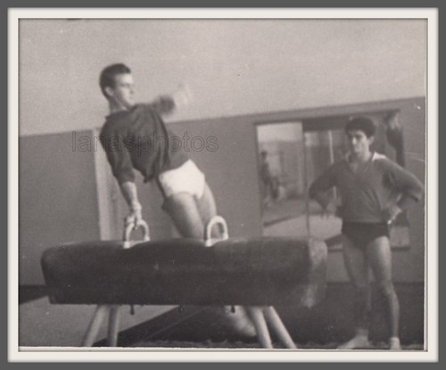 Pommel horse athlete sports - horse,