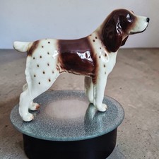 ENGLISH Welsh Springer Spaniel