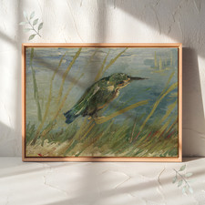 Kingfisher – Vincent van