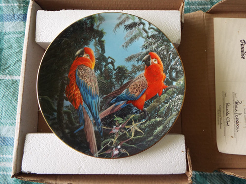 Wedgwood cuban macaw - wedgwood, "cuban