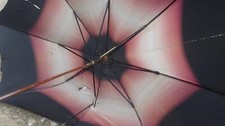 Antique Vintage England Paragon Fox Walking Umbrella. Paragon S. Fox & co. Ltd.