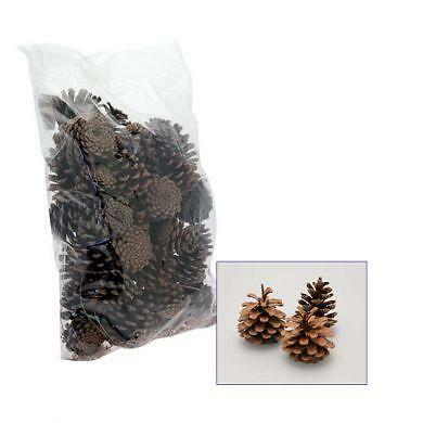 Wreath florist decoration - florist,
