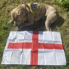 George cross england flag - st,