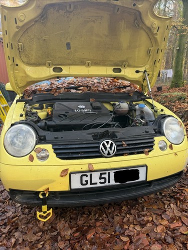 Lupo parts nut - nut,