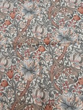 Sanderson Golden Lily Minor