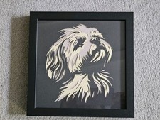Shih tzu in black box frame -