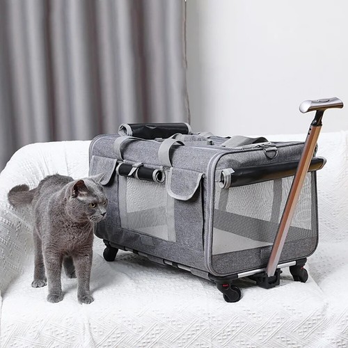 Extra large detachable dog - extra,