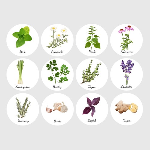 Herbs spices jar - 2, &