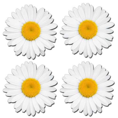 Glossy vinyl stickers - glossy,