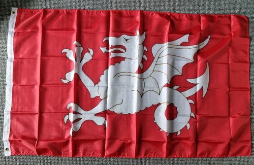 White wyvern england dragon - white,