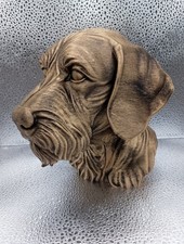 Wire Haired Vizsla Bust