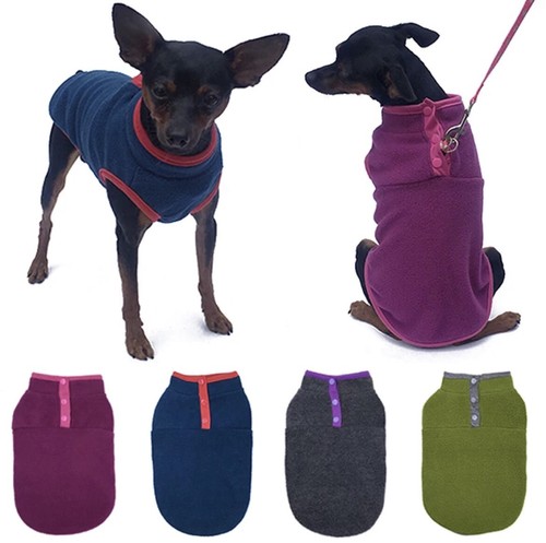Dog puppy pet cat - dog,