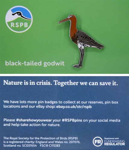Rspb pin badge niic - badge,