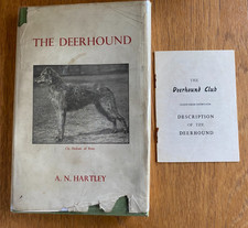 The DEERHOUND by Hartley 1955